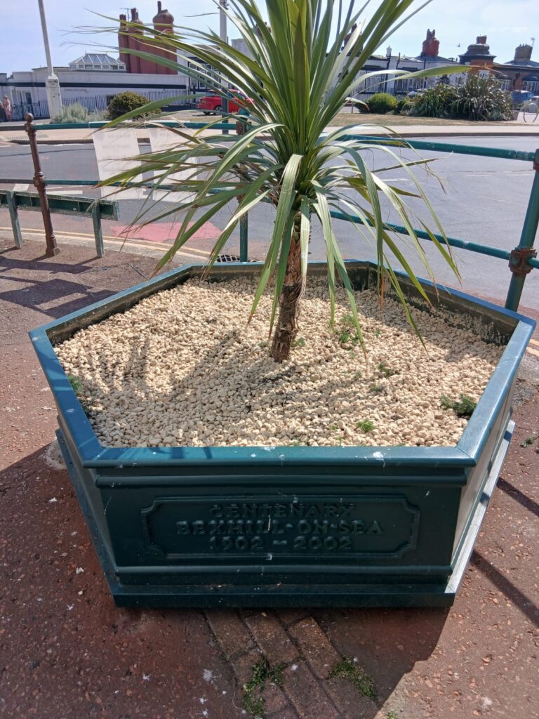 A rejuvenated planter at the bottom of Devonshire Road.