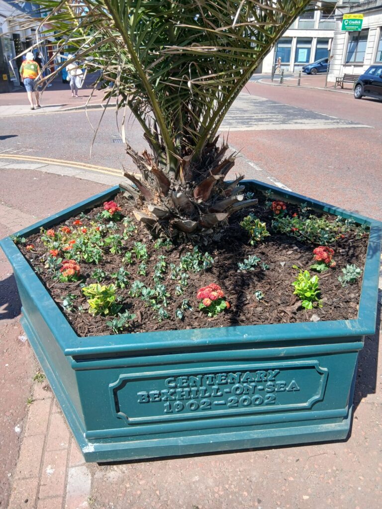 A planter with colourful flowers on Devonshire Road.