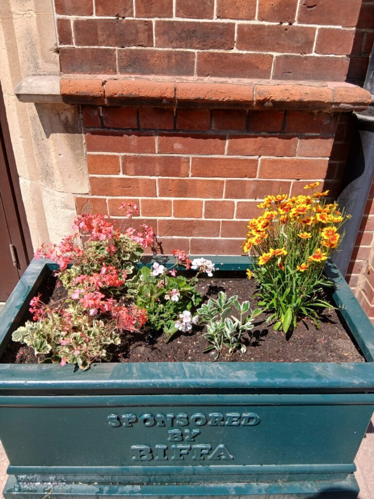 A planter with colourful flowers on Western Road.